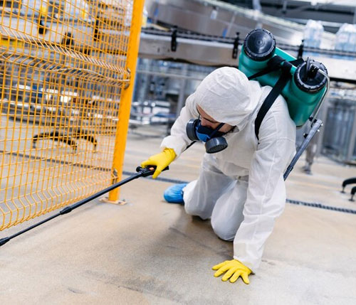 best pest control for restaurants